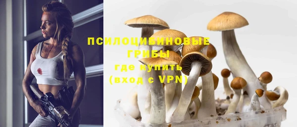 таблы Алзамай