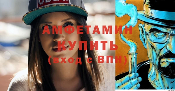 сатива Беслан