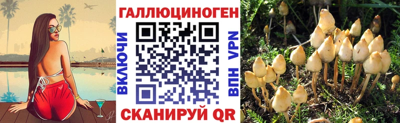 Псилоцибиновые грибы ЛСД  купить наркоту  Плавск 
